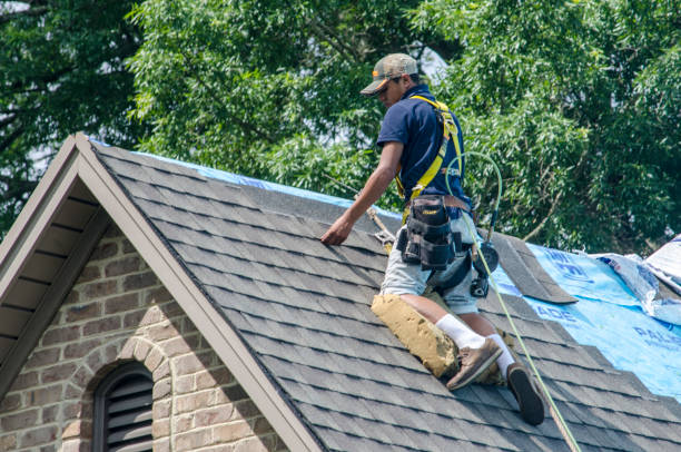 Best Residential Roofing Contractor  in Bellevue, IA